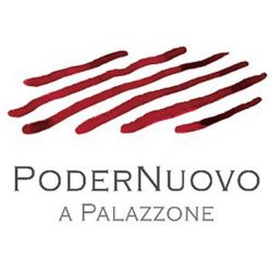 PoderNuovo logo 640x640